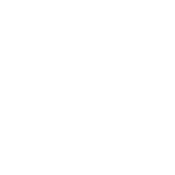 ce logo Youngstown
